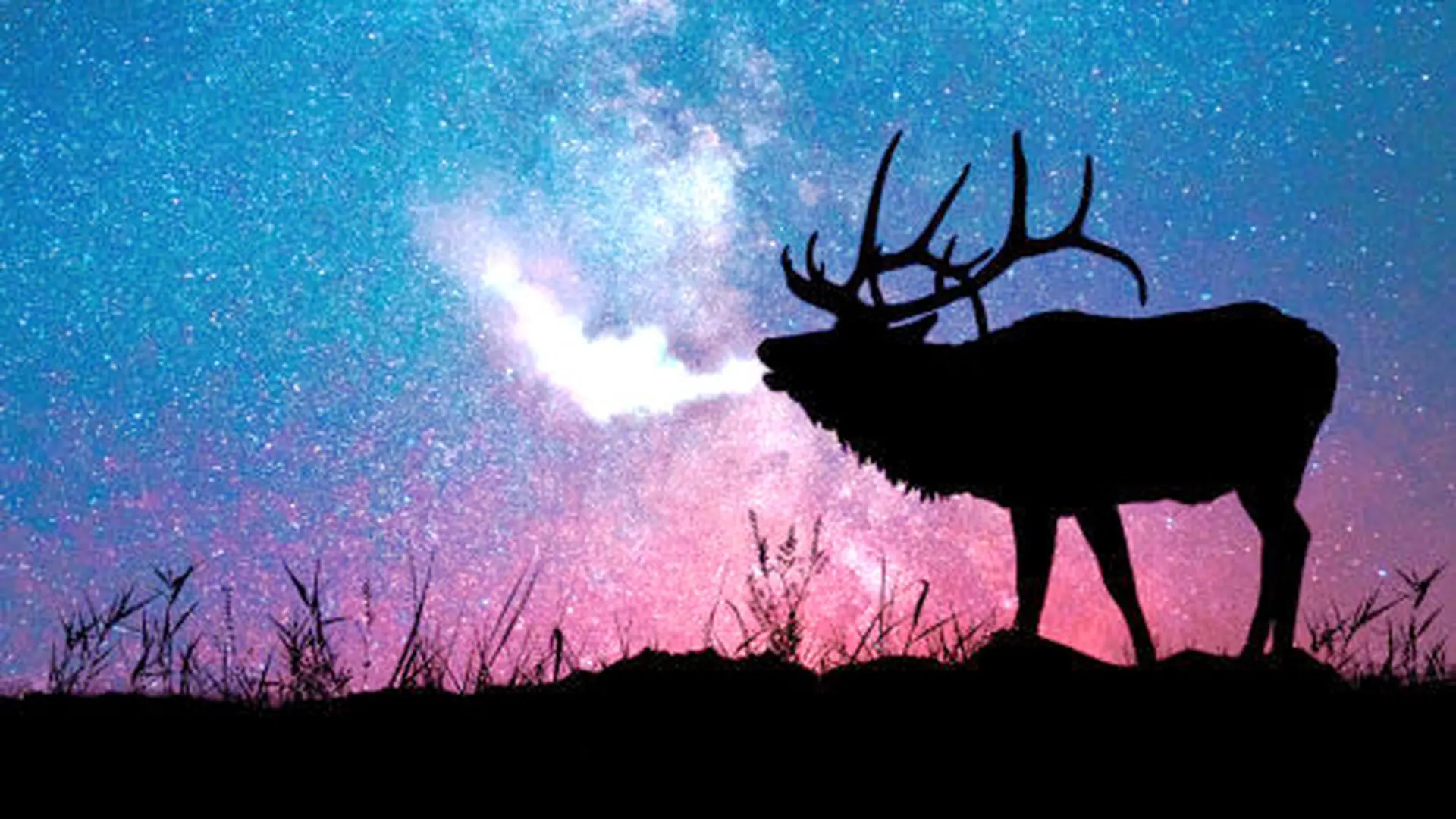 Naturaleza en la Sierra de Cazorla